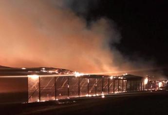 Large Barn Fire Kills Nearly 550 Cattle in New York