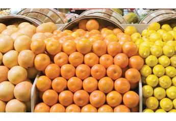 Citrus suppliers expect extensive import deals