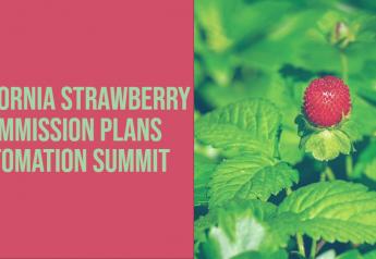 California Strawberry Commission plans Automation Summit