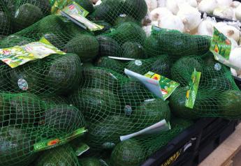 Pandemic helps boost bagged avocado sales