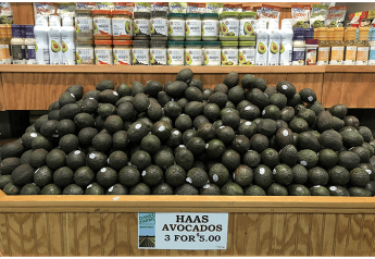 HAB: Avocado purchases growing fastest among non-millennials