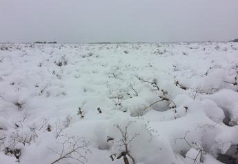 More snow is coming to farmers already reeling from flood damage