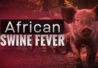 African Swine Fever Outbreak Suspected in Indonesia