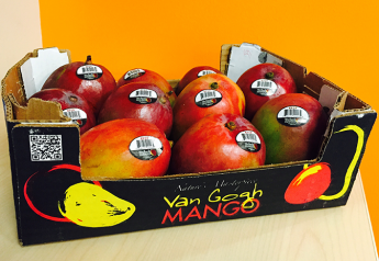 Vision Produce offers ripe mango program