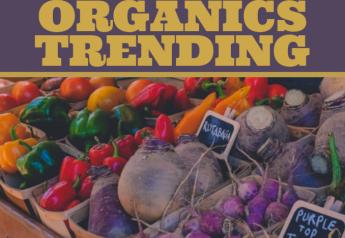 Organic produce trending upward in the produce aisle