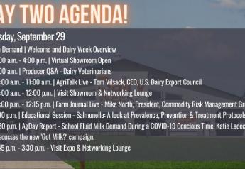 Here’s What to Expect on Day 2 of Dairy Week!