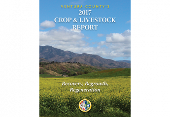 Strawberries still reign as No. 1 Ventura County crop