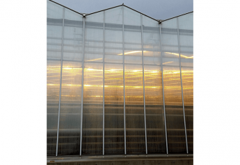 Ontario greenhouse industry sees continued growth