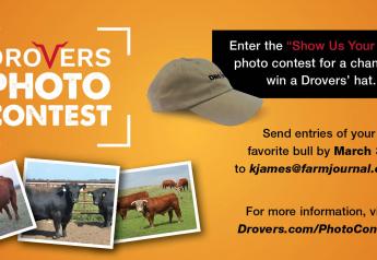 Enter the Drovers ‘Show Us Your Bulls’ Photo Contest