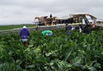 California farms face continuing labor shortages