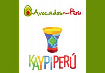 Avocados from Peru to celebrate Peruvian culture 