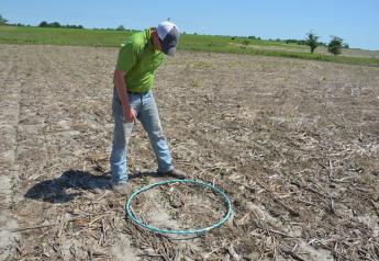 Save Time—Use a Hula Hoop to Calculate Soybean Population