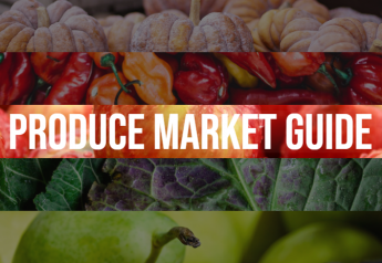 Pumpkins keep their grip on Produce Market Guide