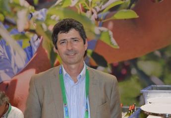 Juan Enrique Ortúzar, chairman of the Chilean Citrus Committee