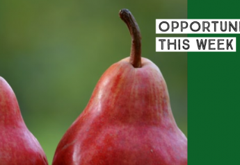 Opportunity buys for week of 11/8 — Bell peppers, pears and oranges