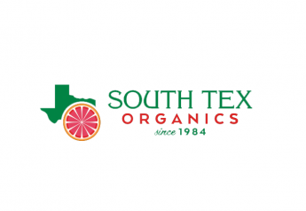 South Tex Organics boosts onion acres slightly