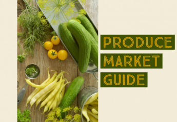 Cucumbers break top five on Produce Market Guide