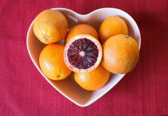 Bee Sweet Citrus Valentine’s Day promotions target specialties