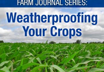 Farm Journal Series: Weatherproofing Your Crops