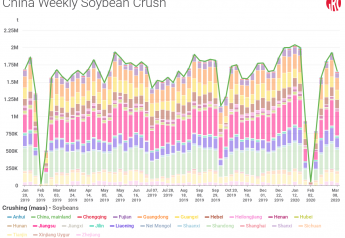 COVID 19 already disrupted the normal soybean crushing patterns in China where a two-week drop in crush is normal after the Spring Festival, but this year that dip slowed below 1 million tons for three weeks.  
