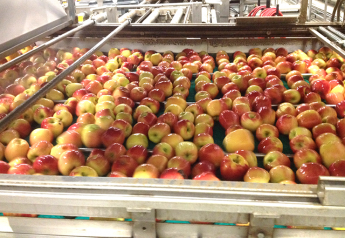 The Washington State Tree Fruit Association's annual forecast puts production slightly lower than the 2017-18 season.