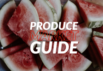 Watermelon rejoins Produce Market Guide's top 20