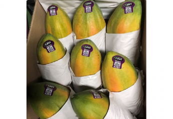 FDA considers ‘regulatory actions’ against papaya distributor
