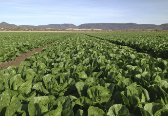 Growers expand organic vegetable product lines