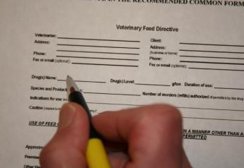 Before and after the current Veterinary Feed Directive rules took full effect in January, 2017, the FDA focused primarily on education and outreach.