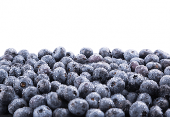 Keep that shopper looking at blueberries for a moment longer with engaging point-of-sale material.