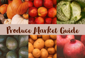 What's hot on Produce Market Guide? Pink pumpkins, cabbage and citrus