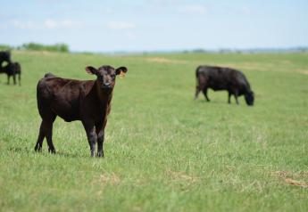 Proactive Animal Health Means a Genetic Approach