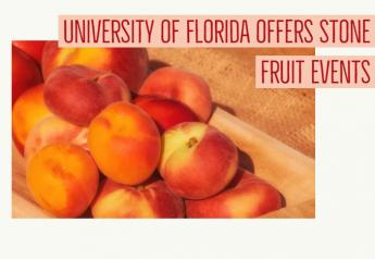University of Florida offers stone fruit events