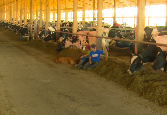 Tracking the success of the NMPF's FARM Animal Care program.