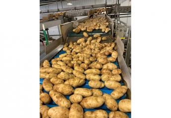 Idaho potato growers anticipate big spud crop this season