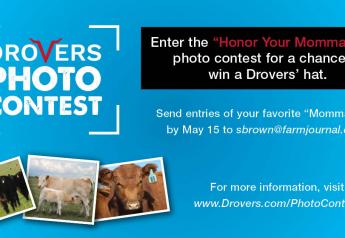 Top 6 Winners of the Drovers “Honor Your Momma Cow” Photo Contest