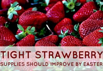 Tight strawberry supplies should improve by Easter 