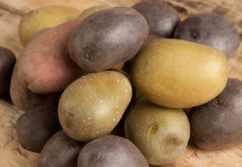 In advance of National Potato Day, The Little Potato Co. provided some consumer insights on spuds through a new survey.
