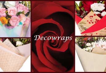 Decowraps spreads happiness through packaging