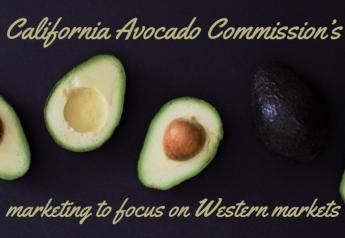 California Avocado Commission's marketing to focus on Western markets