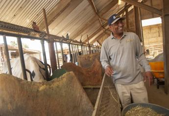Professor Ermias Kebreab with the UC Davis Department of Animal Science is conducting research with dairy cows to find out if seaweed will reduce methane emissions from cattle. Results are promising, but not final. 