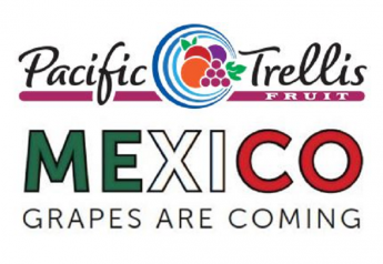 Pacific Trellis poised to move more Mexican grapes