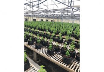 Georgia expands organic, local, greenhouse options