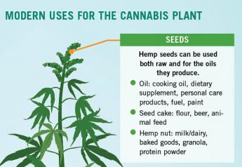 The uses for hemp are endless. 