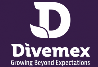 Divemex moving into peak volume 