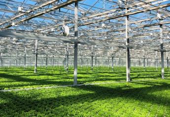 Fresh2o Growers increases organic lettuce by 1 million heads