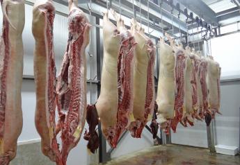 USDA’s New Swine Slaughter Rule Hit By Lawsuit