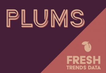 Fresh Trends data and research for plums