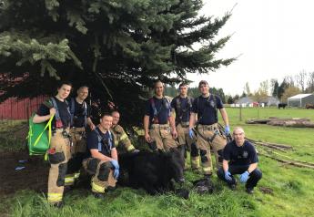 Firefighters, Police Help Care for Cattle Across the Country