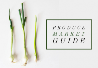 Green onions are tops on Produce Market Guide